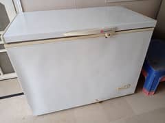 single door freezer