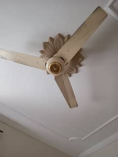 Ceiling Fans in very good condition, all are in working condition.