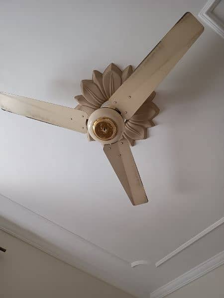 Ceiling Fans in very good condition, all are in working condition. 0