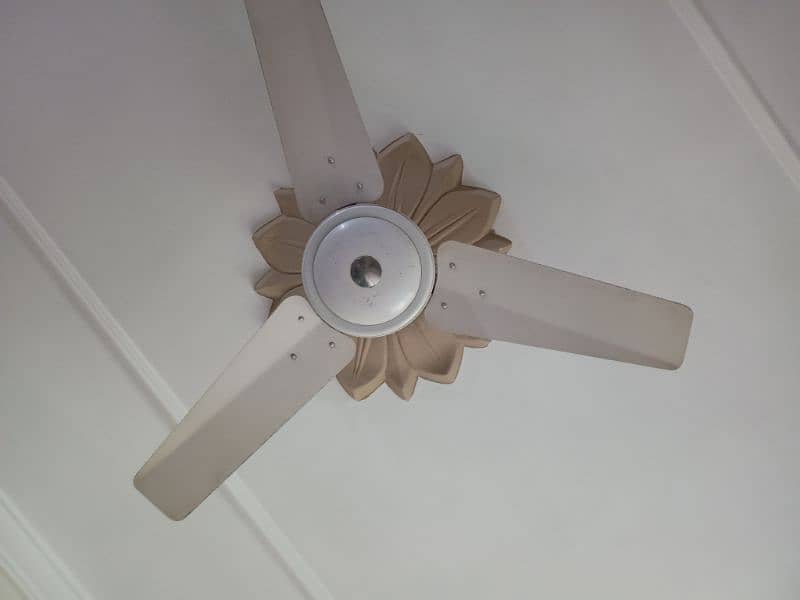 Ceiling Fans in very good condition, all are in working condition. 2