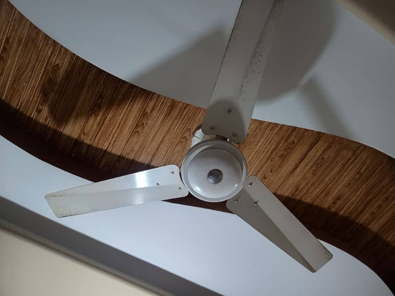 Ceiling Fans in very good condition, all are in working condition. 3