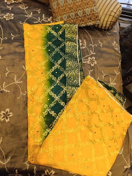 Brand new lehnga 2