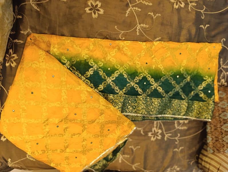 Brand new lehnga 3