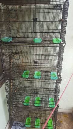Cage 4 Portion with 4 Boxes