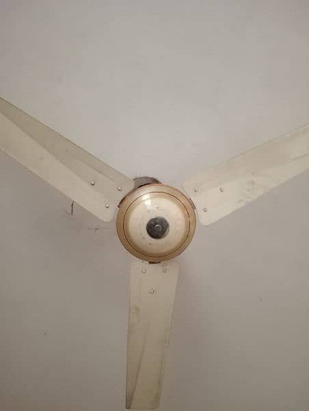 GFC ceiling fans for sale 0