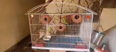 7 Australian parrots with 2 cagesfor sale