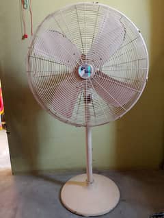 Pedestal Fan