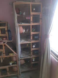 Bird cage for sale. 4 portion