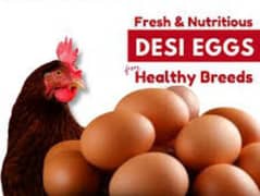 Organic fresh Desi eggs