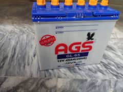 AGS 13 plate battery