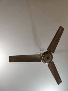 Younas ceilings fans