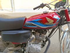 Honda 125 2024 Model Fuel Tank and side covers (taapy) for sale