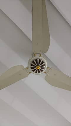 Bareeze ceiling Fan Used