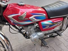 Honda CG 125 2022 Punjab Registered (0302_5328032)