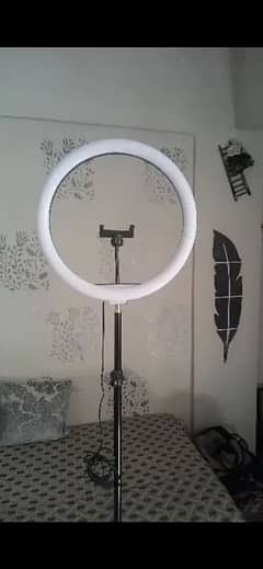 Ring light with Stand