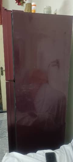 Orient refrigerator / freezer (full Size class door) 0321-4822990