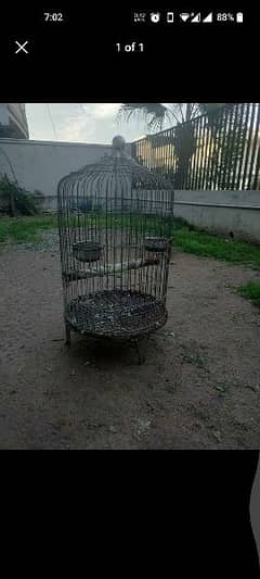Raw Parrot Cage