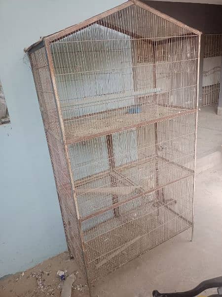 birds cage pinjra for hens parrot 1