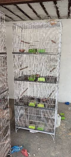 Lovebird 4 portion cage 4 cage for sale