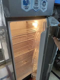 PEL medium size refrigerator for sale