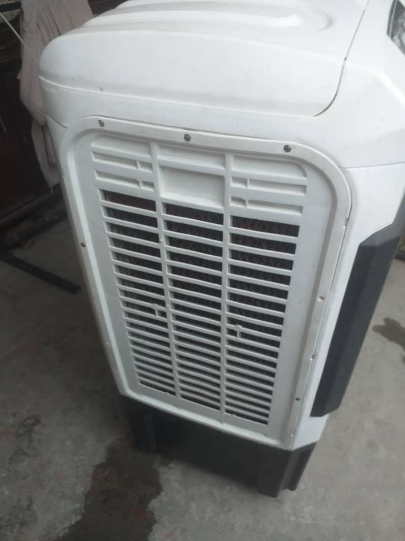 Superasia cooler for sale 4