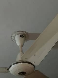 Pak Fan (Ceiling Fan) Urgent Sale.