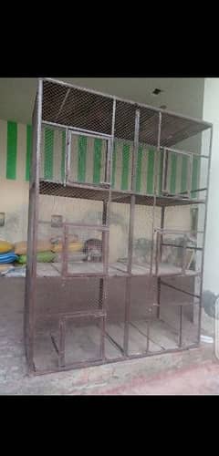 6box in one cage