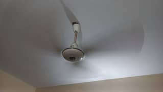 pak ceiling fans