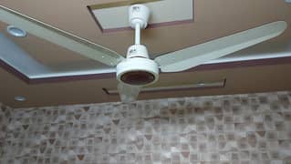 Pak fan ceiling fan 56"(Total pieces: 6)