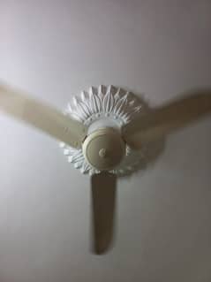 Pack of 6 fans
