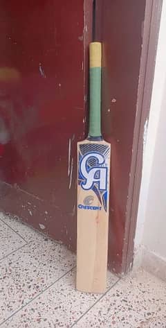 Cock bat pakistani willow for sale