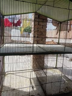 Cage 4 options for sale quality A1 ha