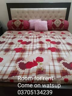 Room for rent daily basis 03705134239
