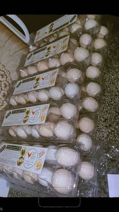 101%Pure ORGANIC Desi Eggs