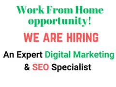 Seeking Expert Digital Marketing and SEO Specialist – Work From Home