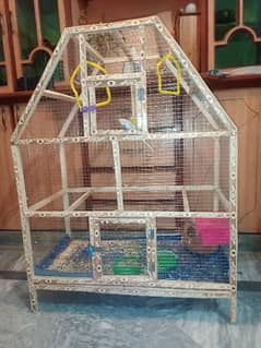 parrots with new cage