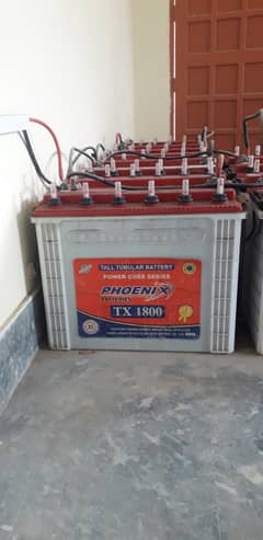 Tall Tubelar batteries on Sale