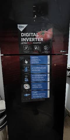 Haier Refrigerator HRF 306 Dc Inverter 12Cft