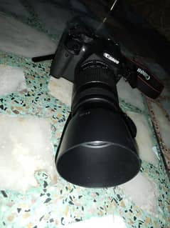 Canon EOS 550D only body