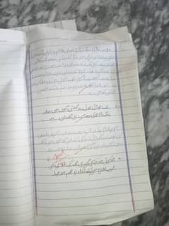 Professional Urdu & English assignment work in low cost