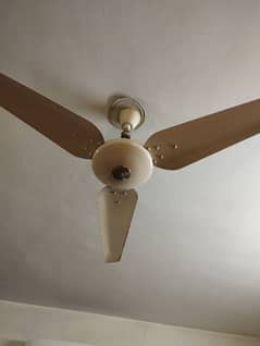 Four Full size Millat ceiling fans for sale