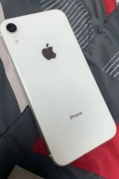 I phone Xr 64gb white colour water pack