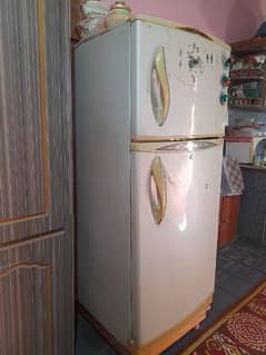 Waves medium size fridge