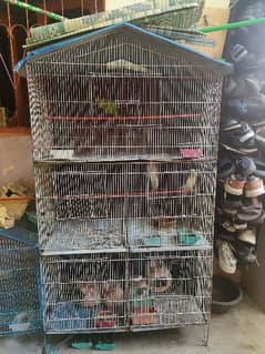 Cage for Sell 6000