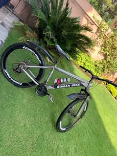 Roman bicycle for sale 29”inch