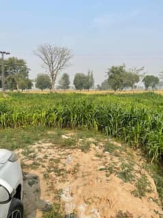Land for farm house near Jati Umra easy access, security , electricity pool on site, corner position