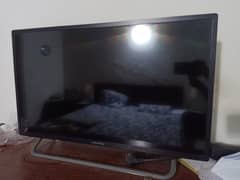 EcoStar 32 Inch FHD LED TV (CX32U559)