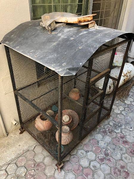 Birds Cage 1