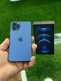 iphone 12 pro max  128/gb pta approved