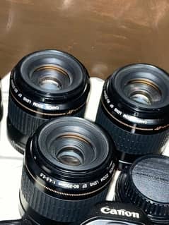 Canon 80-200mm usm lens